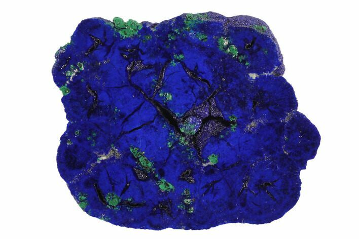 Vivid Blue, Cut/Polished Azurite Nodule - Siberia #94592